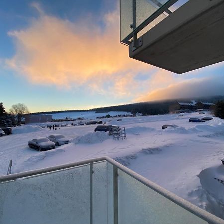 Apartment Petra Klinovec Loučná pod Klínovcem Exteriér fotografie