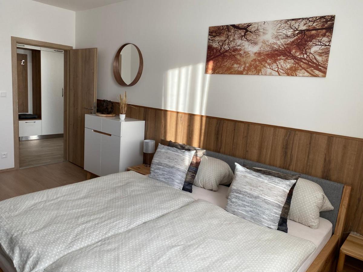 Apartment Petra Klinovec Loučná pod Klínovcem Exteriér fotografie